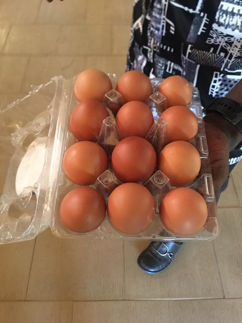 Fresh Farm Eggs(Half crate)